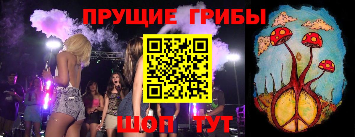 Псилоцибиновые грибы Psilocybine cubensis Благодарный